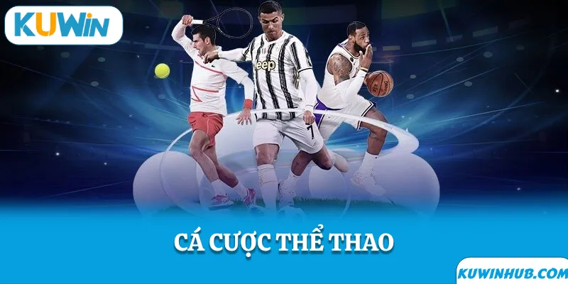 Sảnh thể thao đa dạng kèo