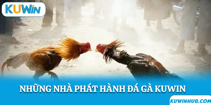 Nhà phát hành đá gà KUWIN
