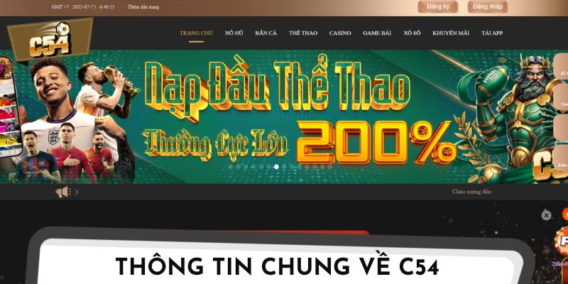 Những quan sát tổng quan nhất trong phần giới thiệu