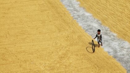 Cozy farming and life sims on phones: how to choose the right game for you