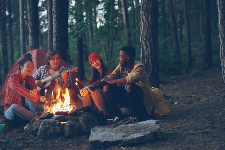Survival game friends forest campfire