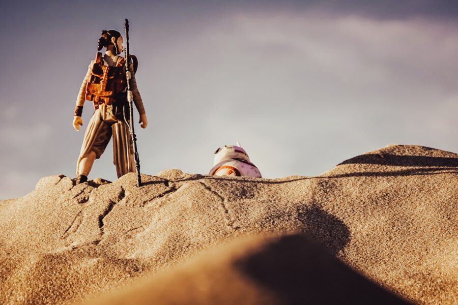 Fantasy hunters desert