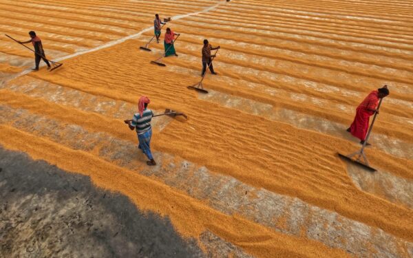Efficient gold farming in RPGs without ruining the fun