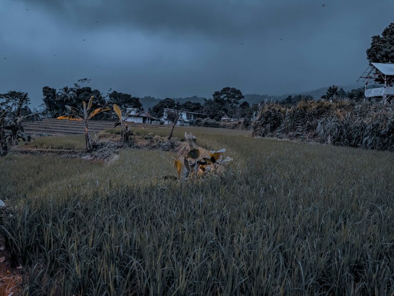 Efficient gold farming