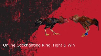 Co-op boss fight guide: how to build balanced teams that actually beat the raid