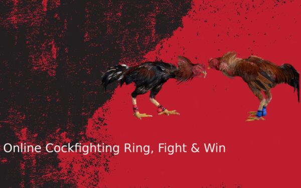 Co-op boss fight guide: how to build balanced teams that actually beat the raid