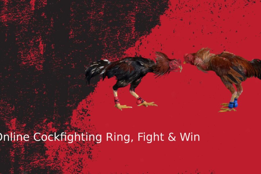 Online co-op raid