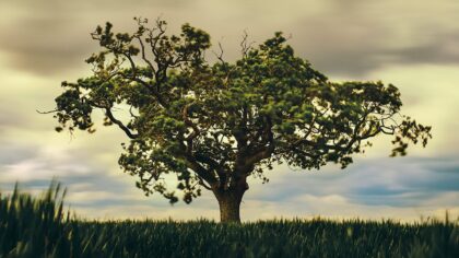 Early-game skill tree priorities that make RPG playthroughs smoother