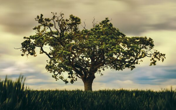 Early-game skill tree priorities that make RPG playthroughs smoother