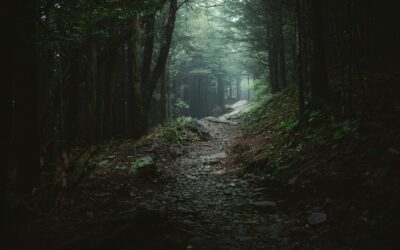 Efficient farming routes in open-world RPGs that respect your time