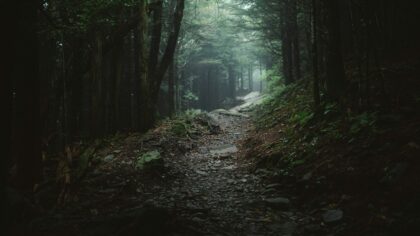 Efficient farming routes in open-world RPGs that respect your time