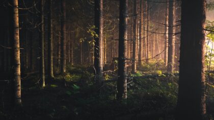 How to manage stamina and energy in survival and open world RPGs