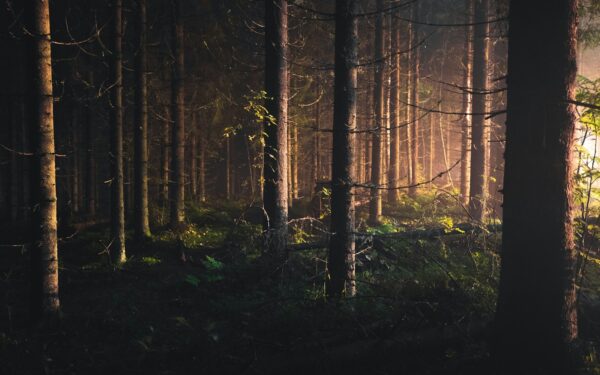 How to manage stamina and energy in survival and open world RPGs