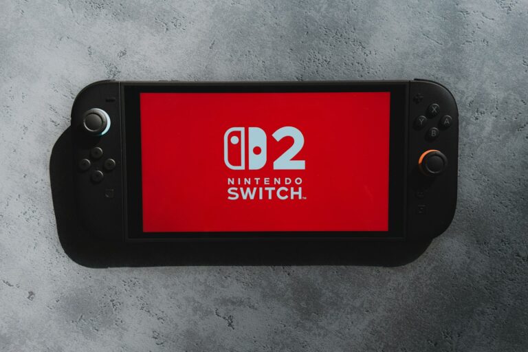 Nintendo switch handheld