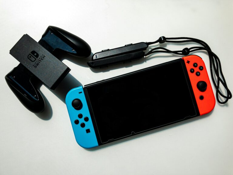 Nintendo switch handheld
