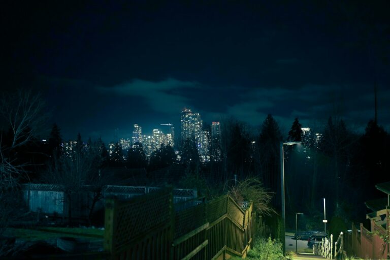 Stealth video game